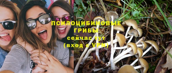 прущая мука Кулебаки