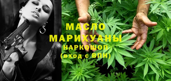 сатива Лабытнанги
