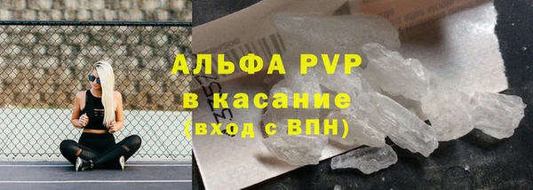 сатива Лабытнанги