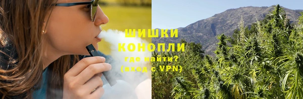 сатива Лабытнанги