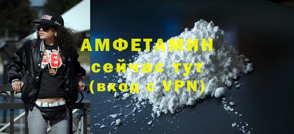сатива Лабытнанги
